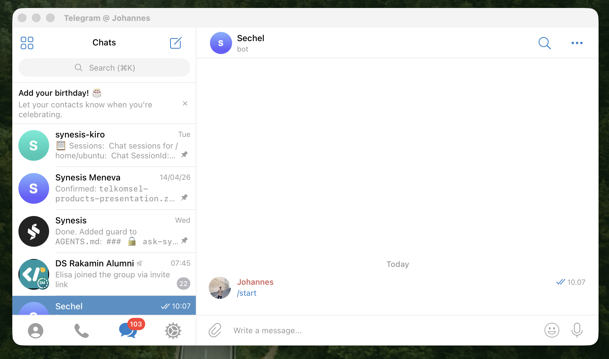 Bot chat after /start