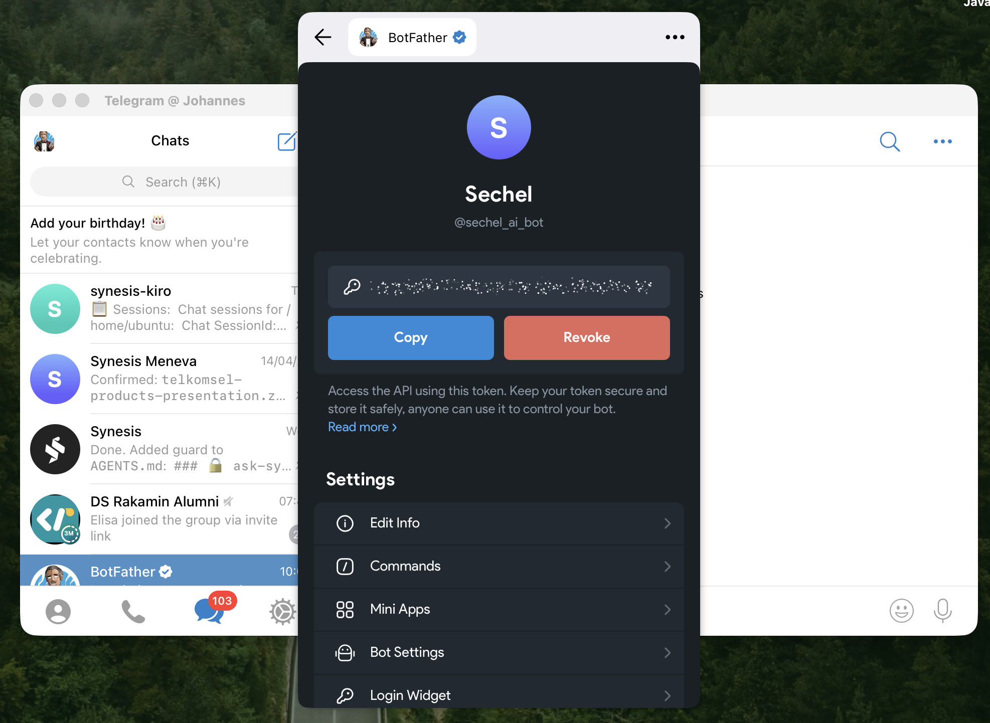 Bot detail page with token